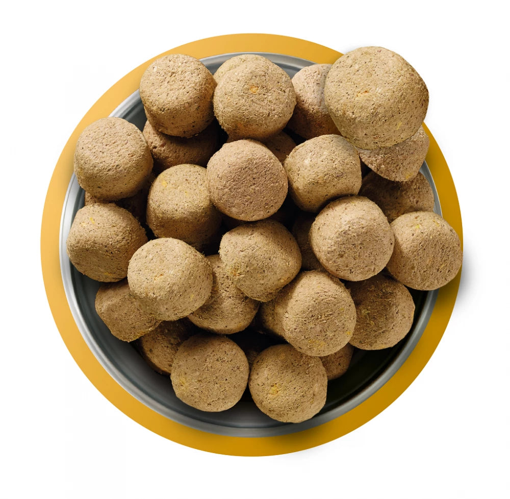 Complete Freeze Dried Food 80/20 Chicken For Adult Dogs