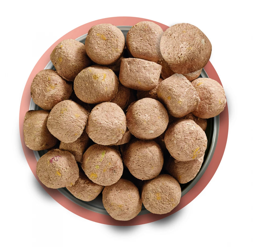 Complete Freeze Dried Food 80/20 BEEF For Adult Dogs