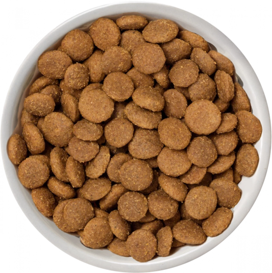 Selected Dry Free Range Chicken For Adult Dogs