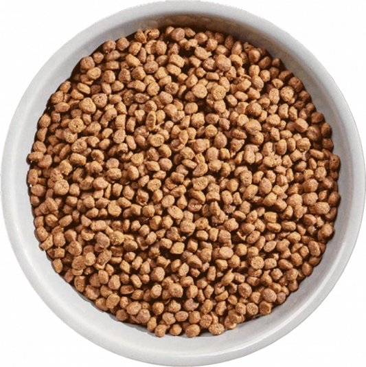 Selected Dry FREE RANGE CHICKEN For Kittens