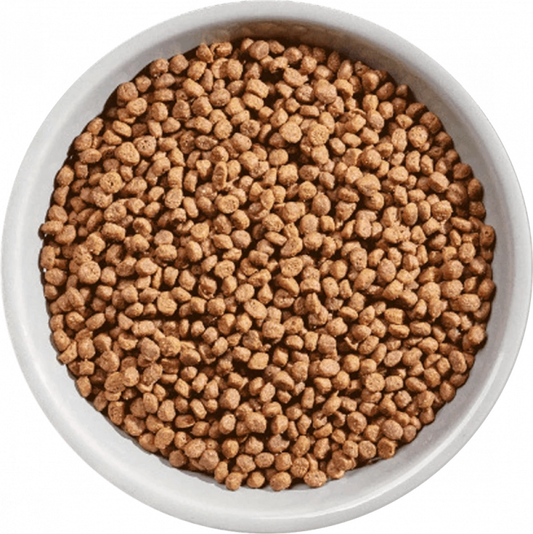 Selected Dry FREE RANGE CHICKEN For Kittens