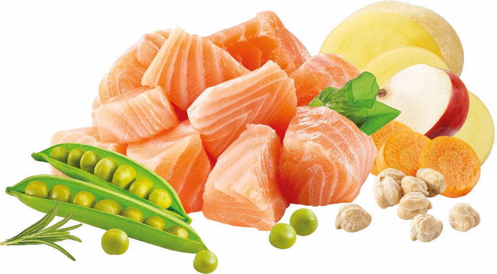 High Meat Dry High in Meat Salmon No Grain For Adult Cats