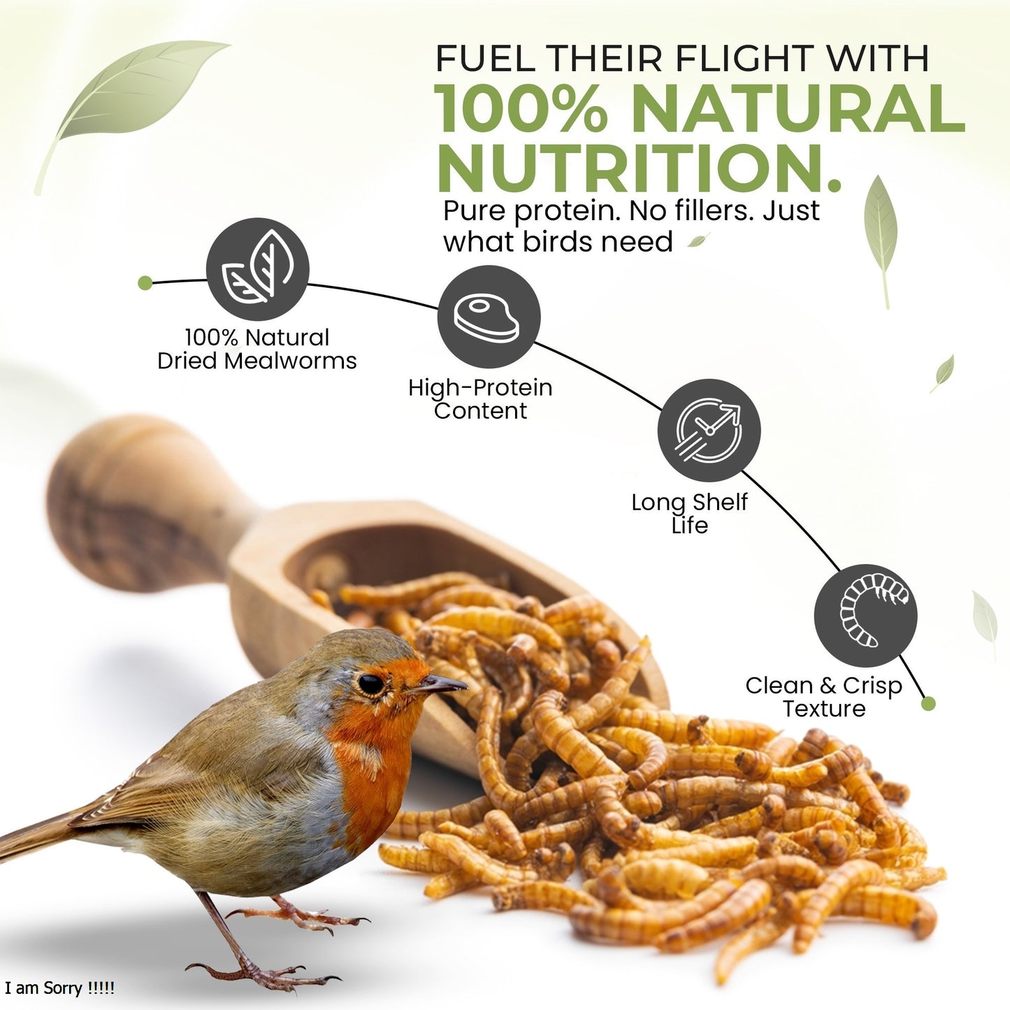 6kg Mealworms- Beewarm Wild Birds Food