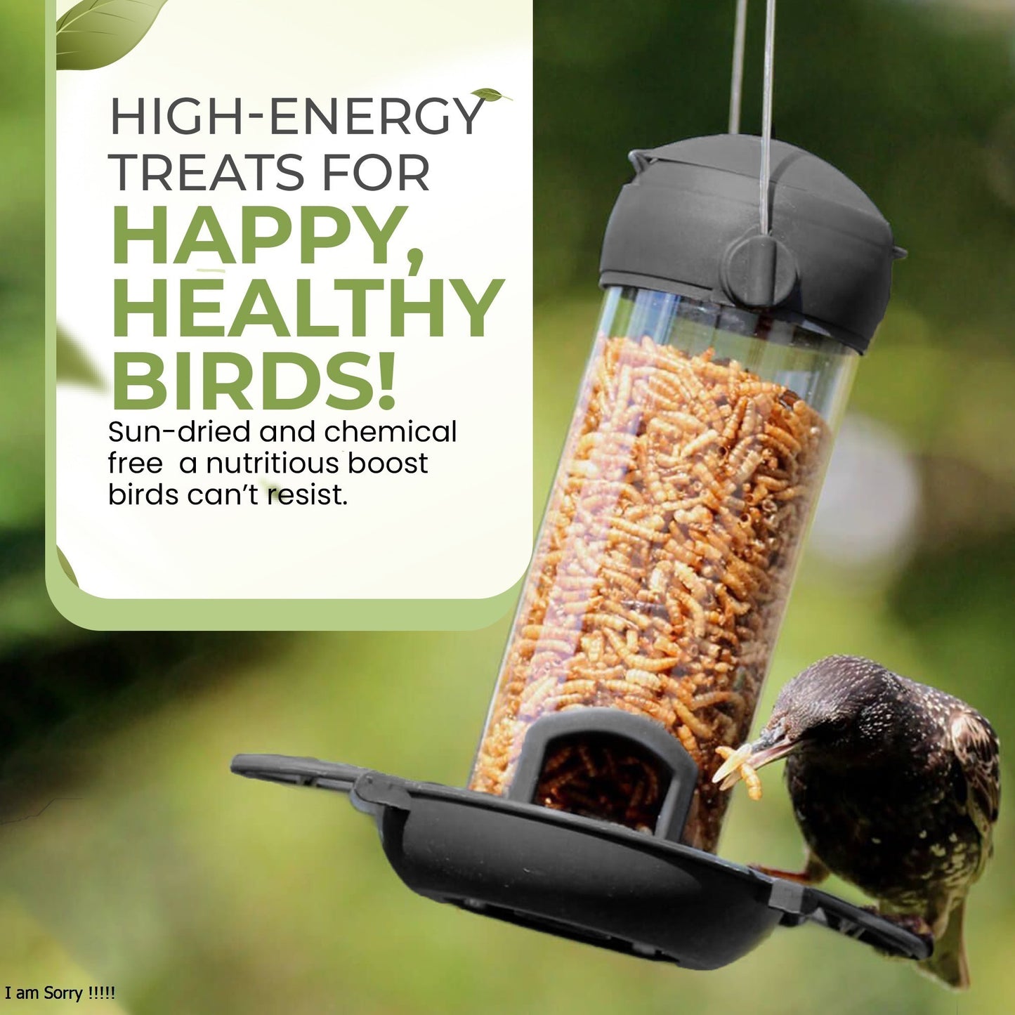 6kg Mealworms- Beewarm Wild Birds Food