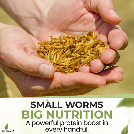 8kg Mealworms- Beewarm Wild Birds Food