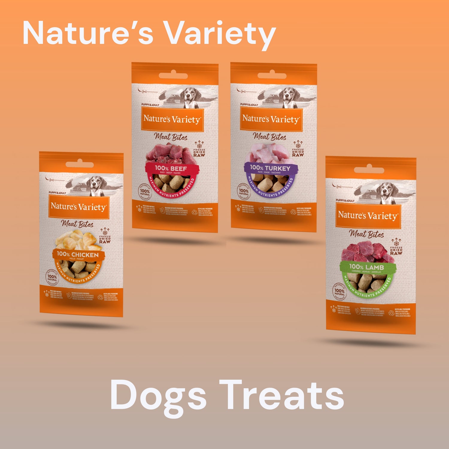 Nature's Variety > Dogs Food