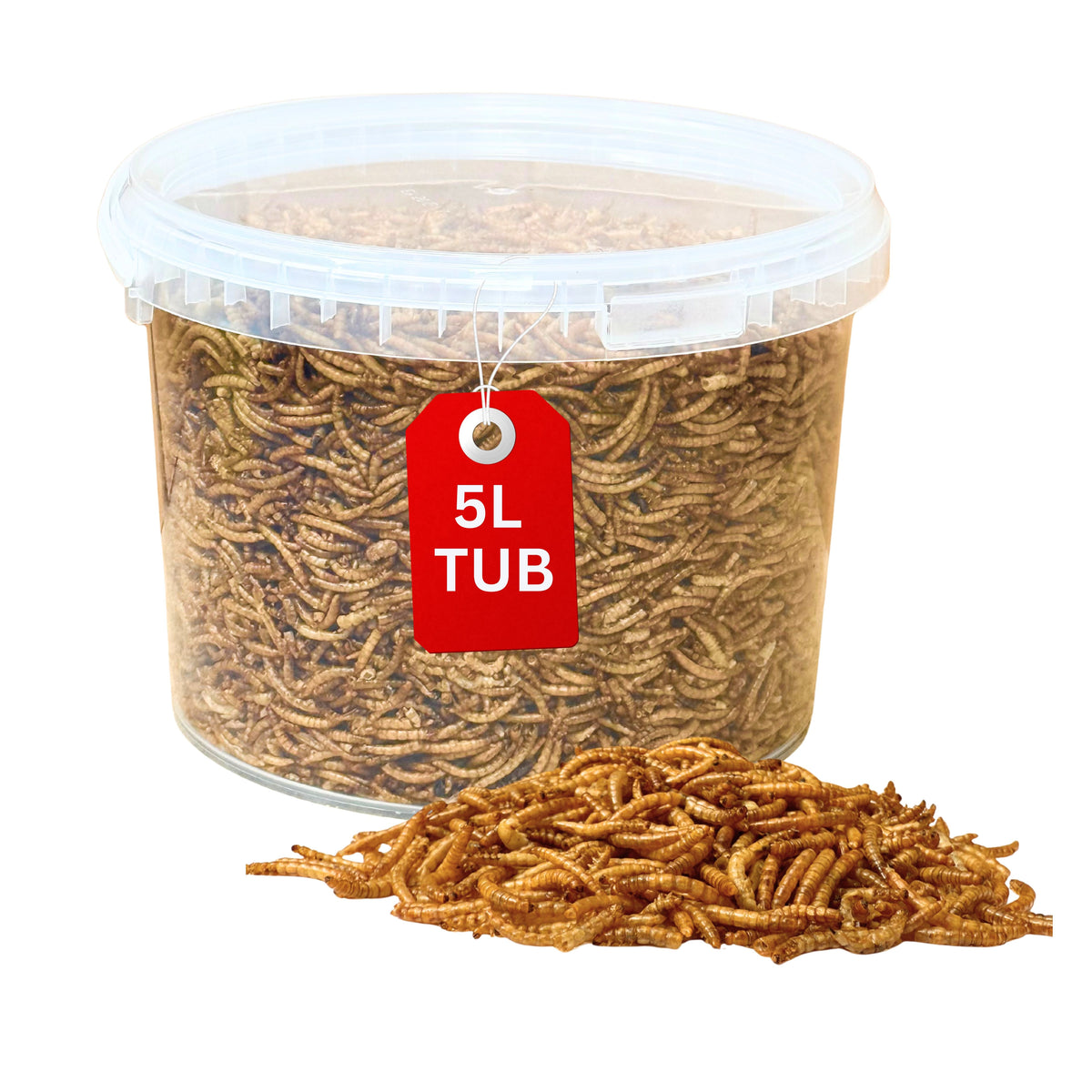 Mealworms