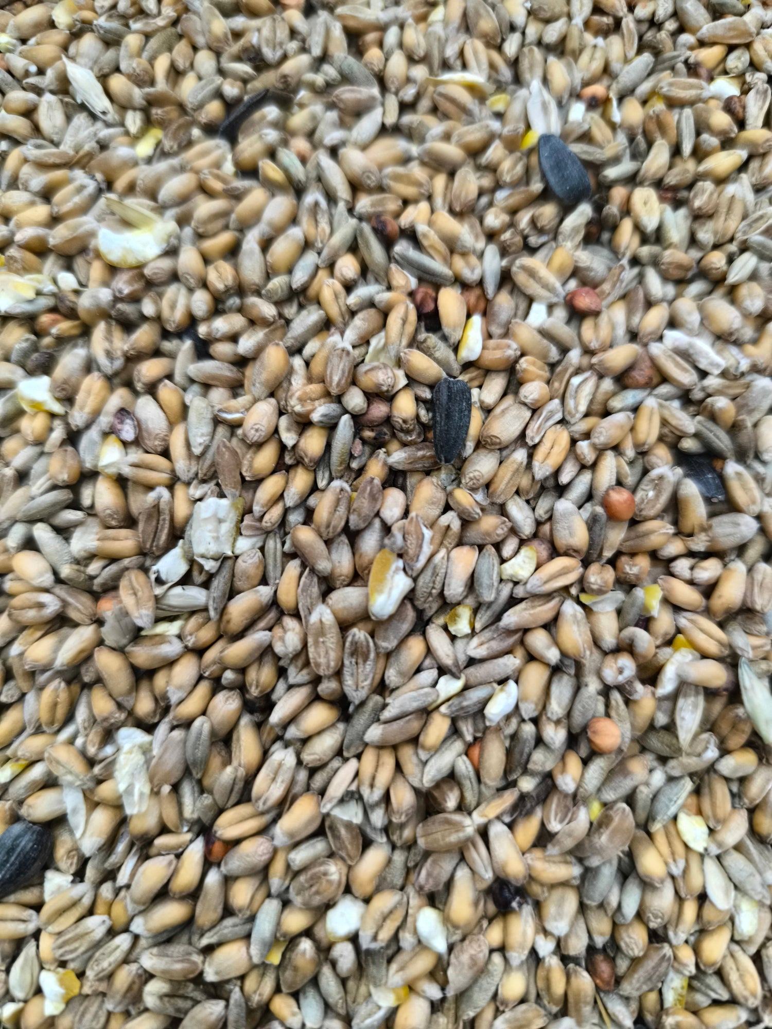 Mix Seeds
