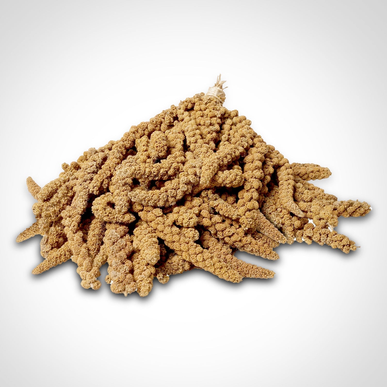 Millet Spray