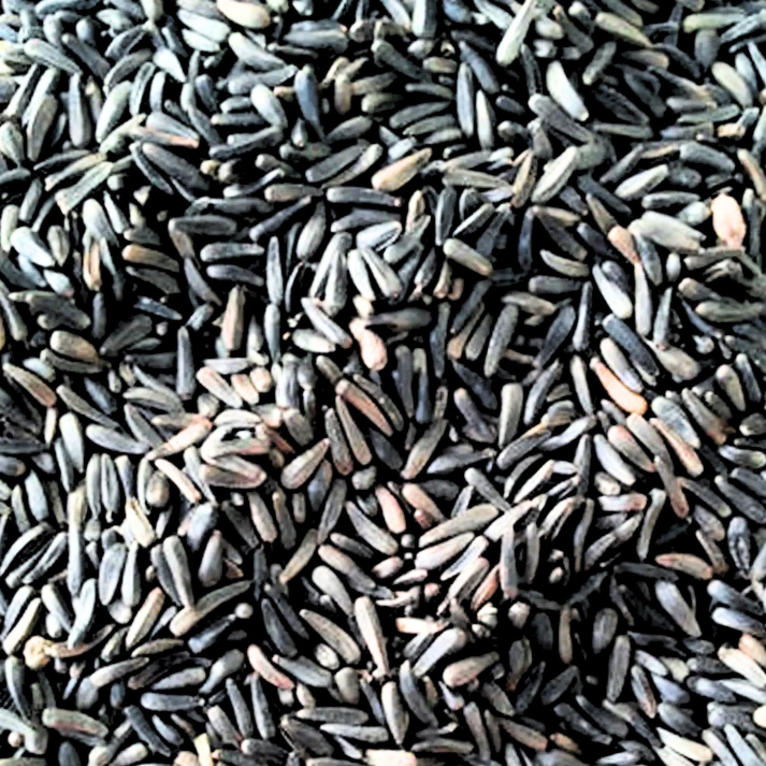 Niger Seeds