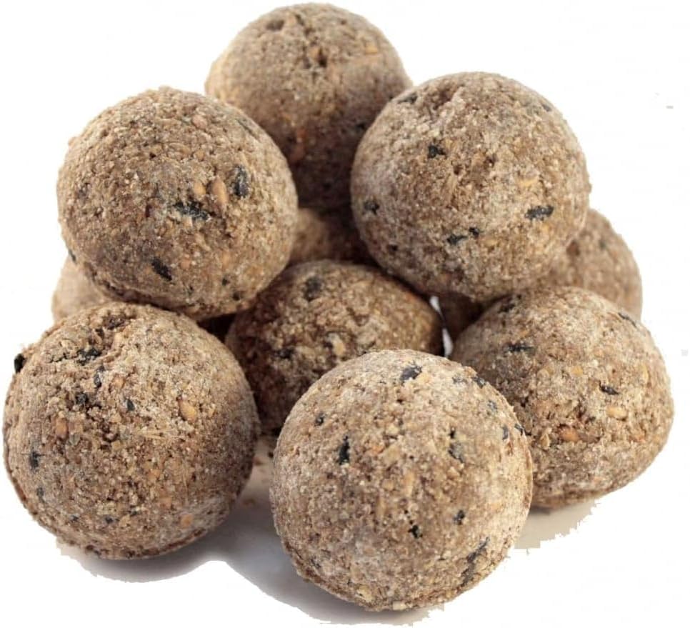 Fat Balls