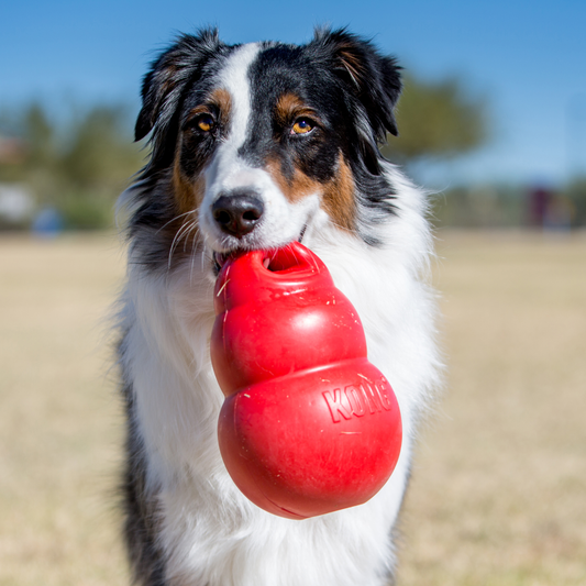 KONG Bounzer - Red Large 8" x 1