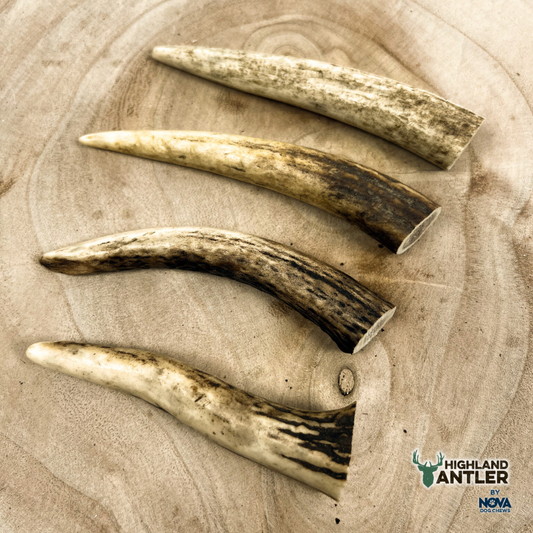 Antler Extra Small (Under 50g
