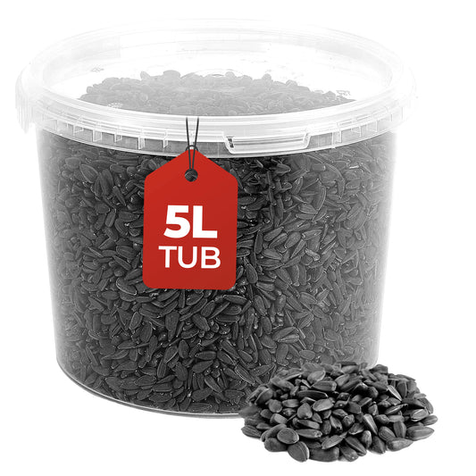 5L Tub Black Sunflower Seeds- Beewarm Wild Birds Food
