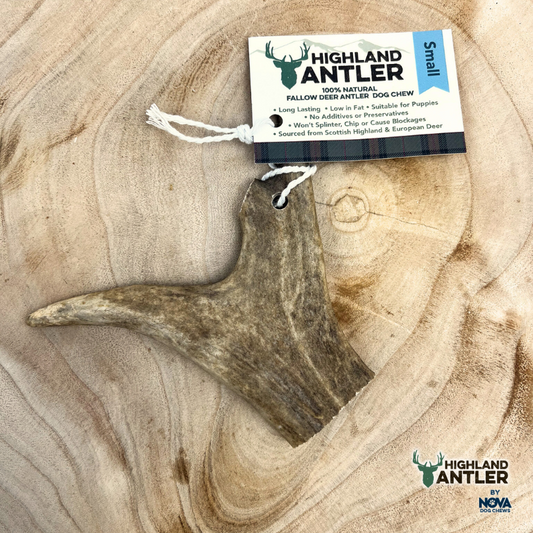 Antler Fallow Small