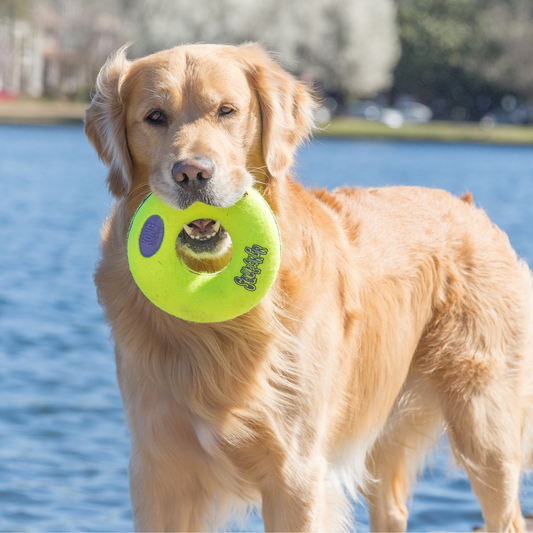 KONG AirDog Squeaker Donut Large x 1
