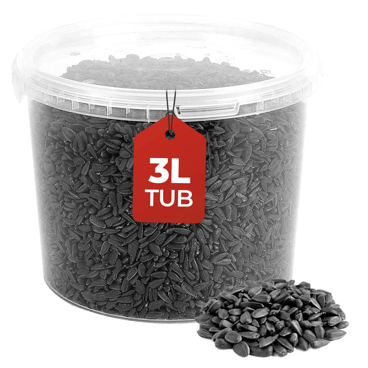 3L Tub Black Sunflower Seeds- Beewarm Wild Birds Food