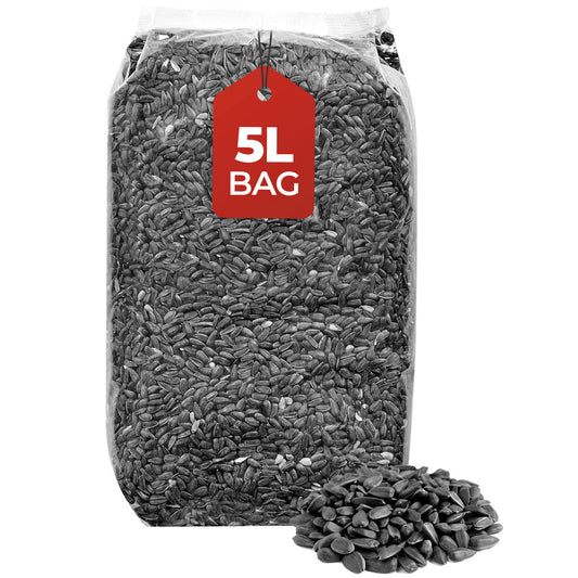 5L Bag Black Sunflower Seeds- Beewarm Wild Birds Food