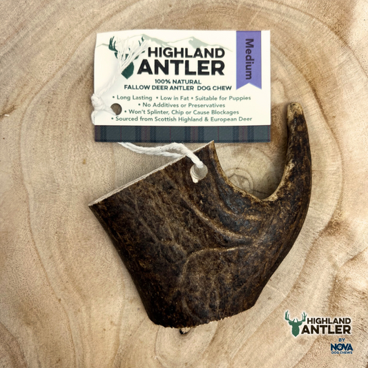 Antler Fallow Medium