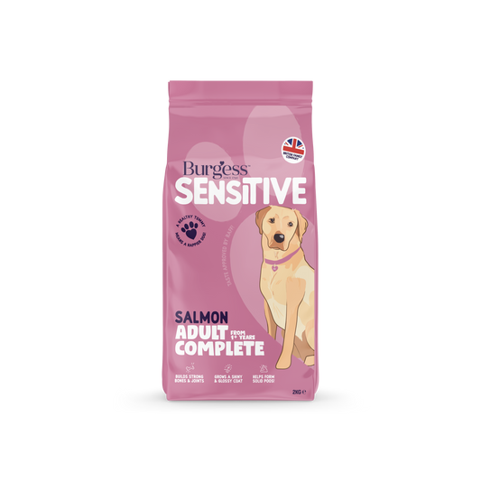 Burgess Sensitive Adult Dog Salmon 2kg