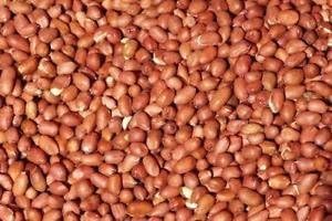 20kg Peanuts Whole - Beewarm Wild Birds Food