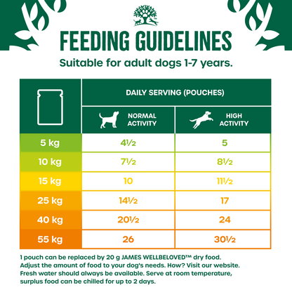 James Wellbeloved Adult Dog Pouch Grain Free Turkey & Lamb 90g 48pk x 1