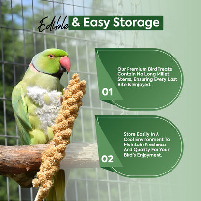 1 kg Millet Spray - Beewarm Wild Birds Food
