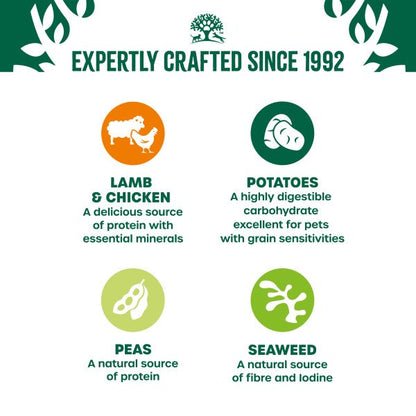 James Wellbeloved Adult Dog Pouch Grain Free Lamb & Chicken 90g 12pk x 1