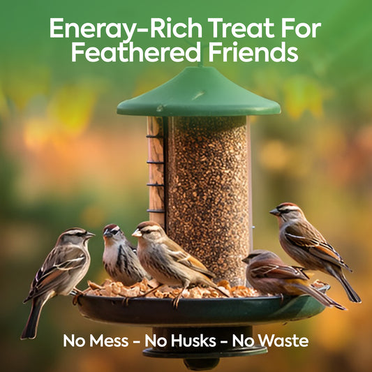 3L Bag No Mess Seeds Mix - Beewarm Wild Birds Food