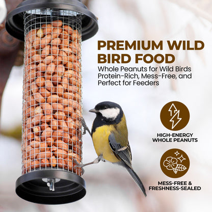 5L Tub Peanuts Whole - Beewarm Wild Birds Food