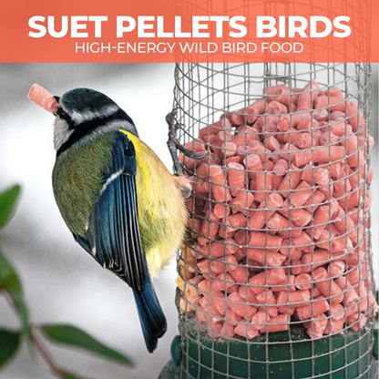 5L Tub Berry Mix Suets- Beewarm Wild Birds Food