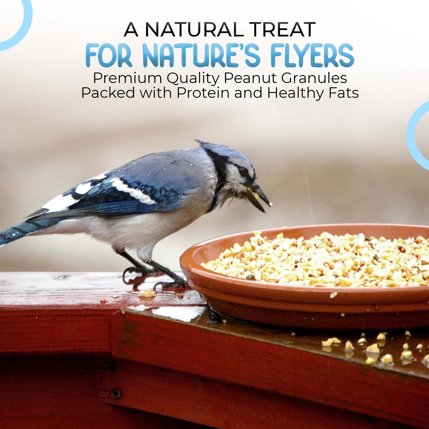 5L Tub Peanuts Granules- Beewarm Wild Birds Food