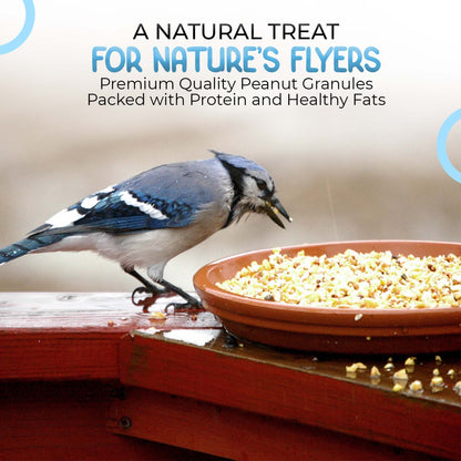 5L Tub Peanuts Granules- Beewarm Wild Birds Food