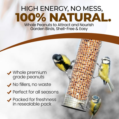 5L Tub Peanuts Whole - Beewarm Wild Birds Food