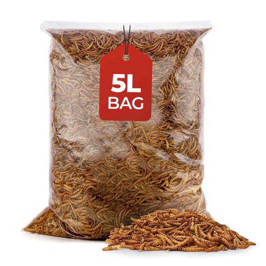 5L Bag Mealworms- Beewarm Wild Birds Food
