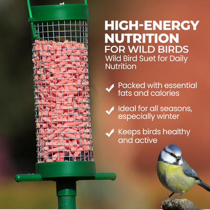 5L Tub Berry Mix Suets- Beewarm Wild Birds Food