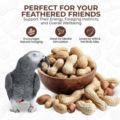 5L Tub Peanuts in Shell- Beewarm Wild Birds Food