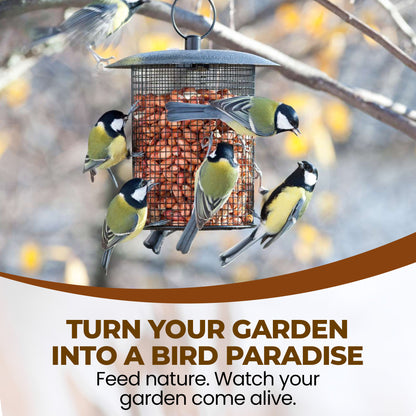 5L Tub Peanuts Whole - Beewarm Wild Birds Food