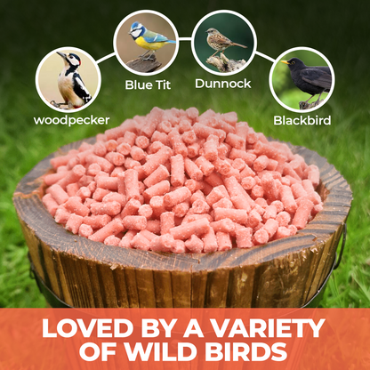 5L Tub Berry Mix Suets- Beewarm Wild Birds Food