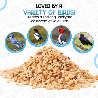 5L Tub Peanuts Granules- Beewarm Wild Birds Food