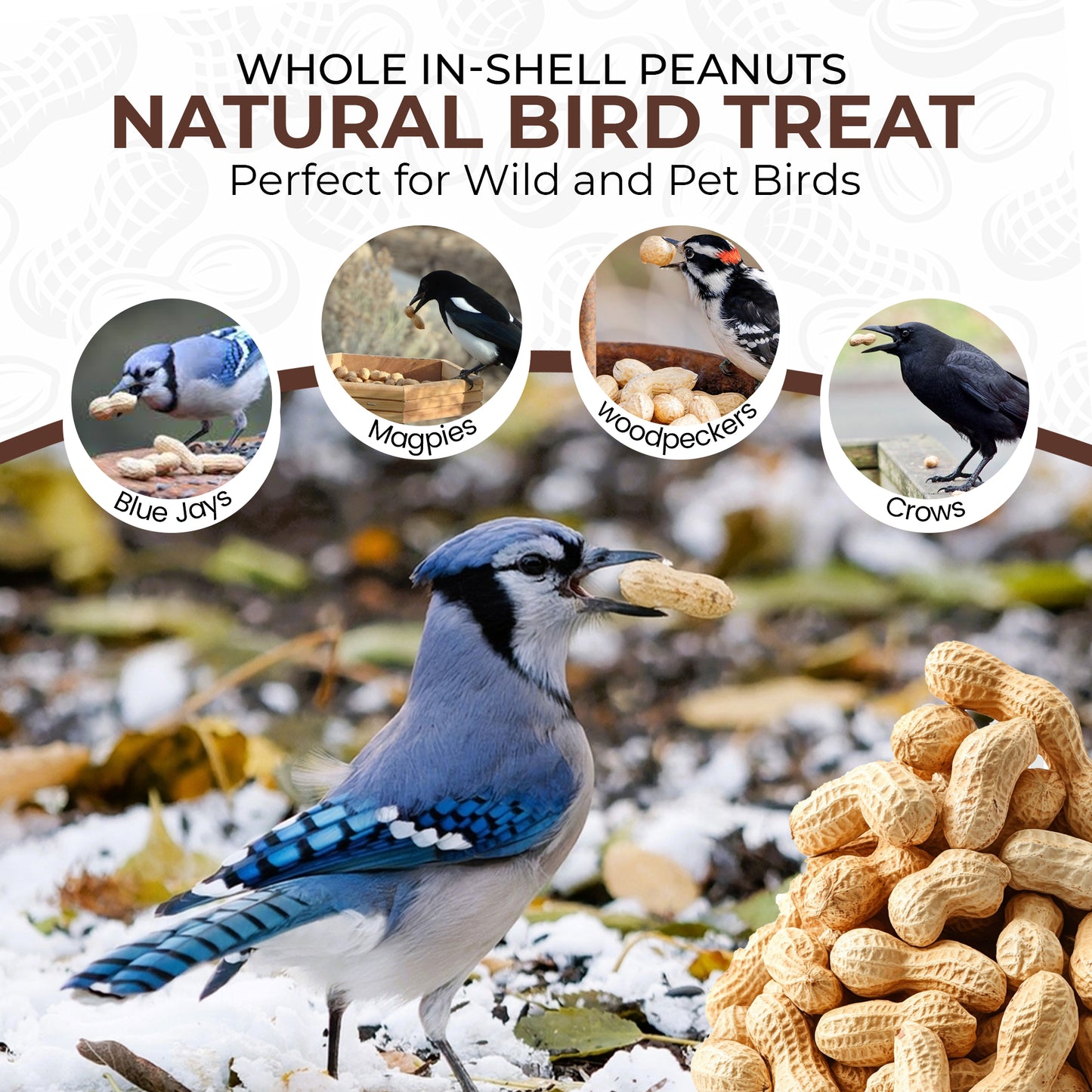 5L Tub Peanuts in Shell- Beewarm Wild Birds Food