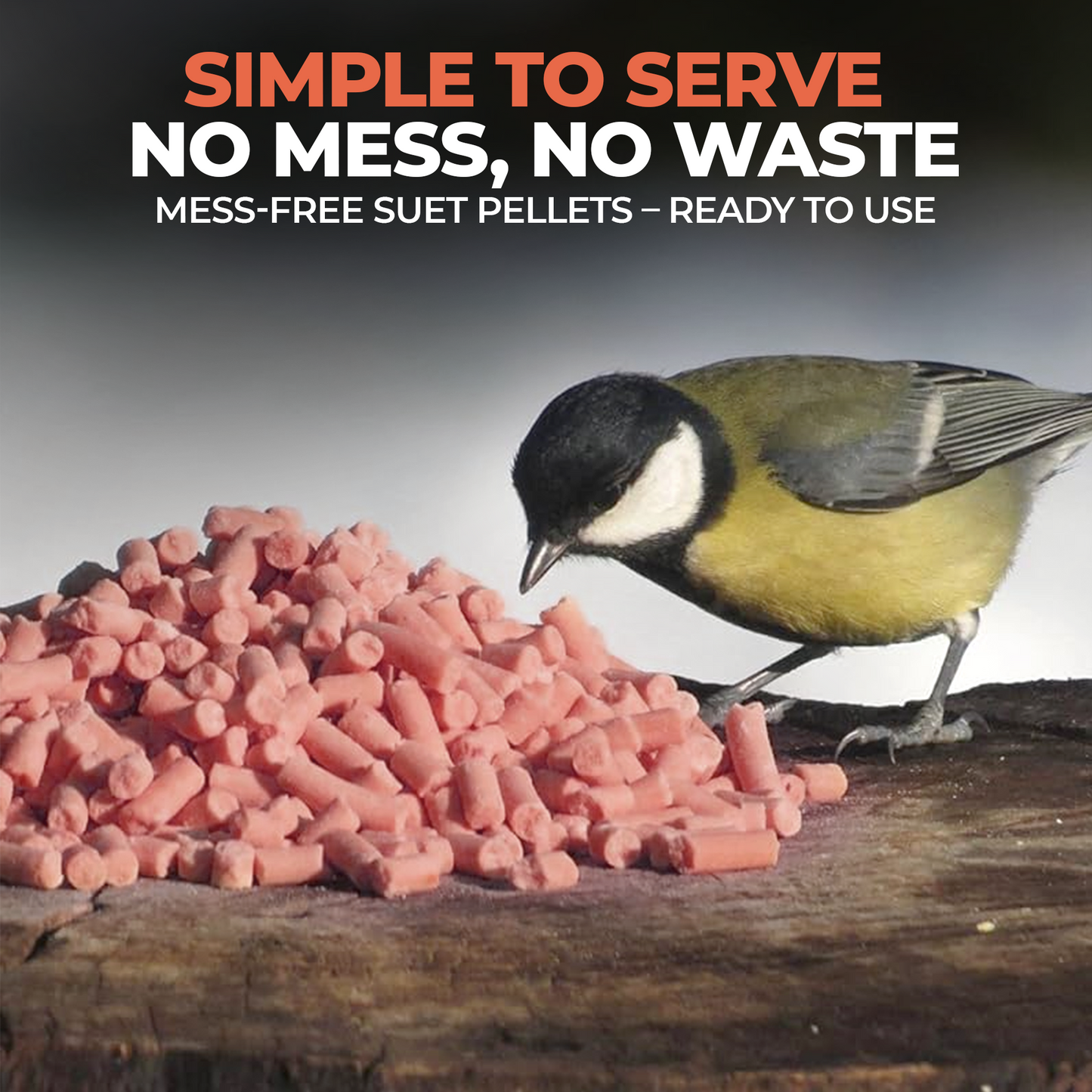 5L Tub Berry Mix Suets- Beewarm Wild Birds Food