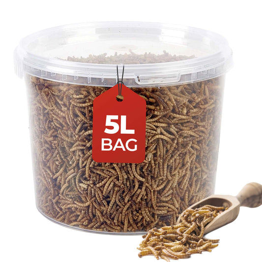5L Tub Mealworms- Beewarm Wild Birds Food