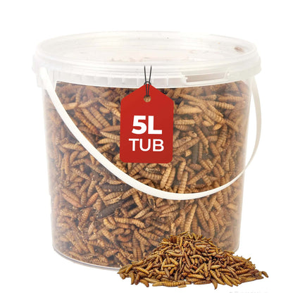 5L Tub Calci Worms- Beewarm Wild Birds Food