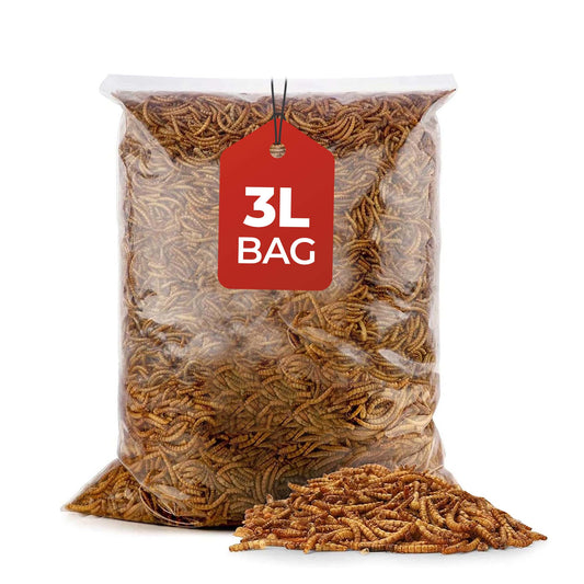3L Bag Mealworms- Beewarm Wild Birds Food