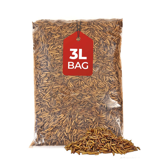 3L Bag Calci Worms- Beewarm Wild Birds Food