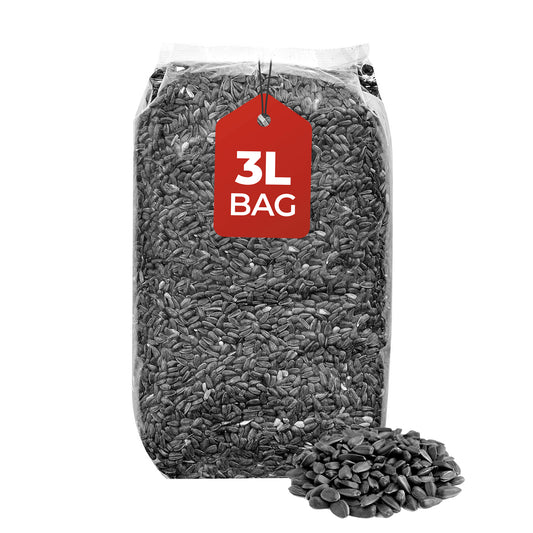3L Bag Black Sunflower Seeds- Beewarm Wild Birds Food