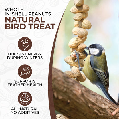 5L Tub Peanuts in Shell- Beewarm Wild Birds Food