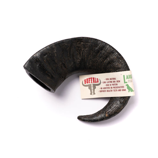 Buffalo Horn Large