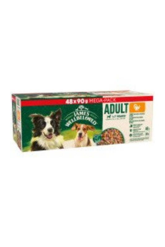 James Wellbeloved Adult Dog Pouch Turkey 90g 48pk x 1